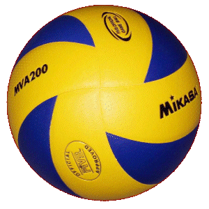 Volleyball